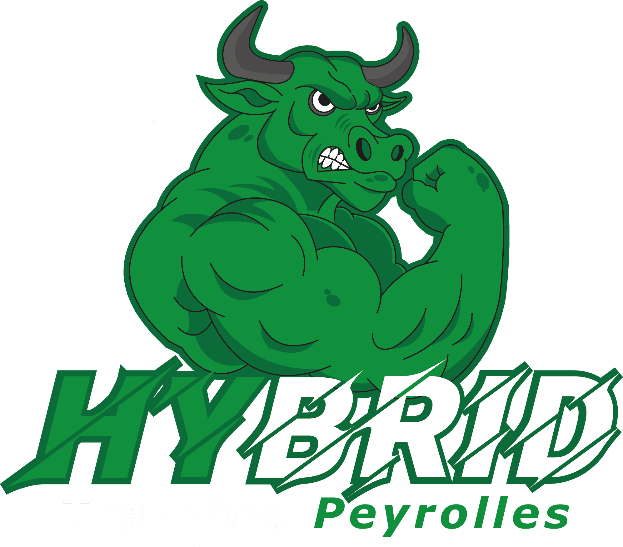 logo mascotte taurus et typographie cross training peyrolles